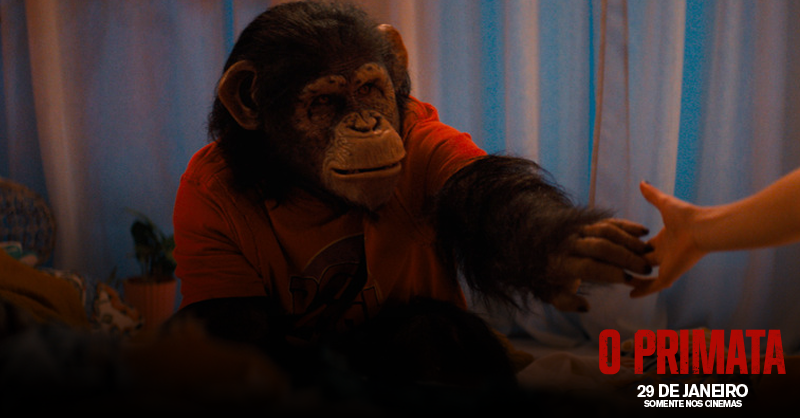 ParamountBrasil's tweet photo. Este é o Ben. Ele parece fofo, mas há algo de errado com ele... 🙊
Curta este post para descobrir o quê!