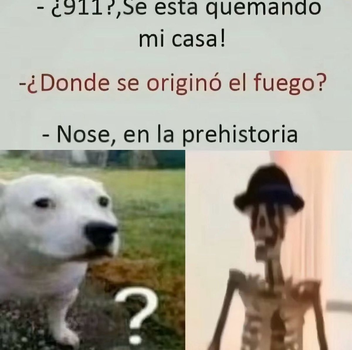 Memakker tweet media