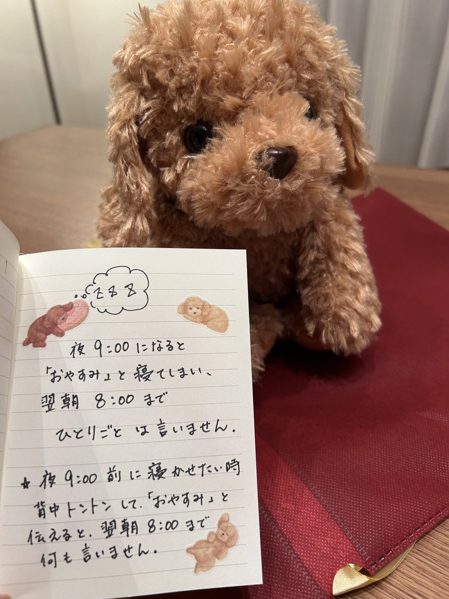 「お友達が歌を歌ってくれる猫ちゃんを家族からもらって、可愛いんですって」と何度も話してたお義母さんへのプレゼント🎁
取扱説明書を一緒に渡すのは、なんだか味気ない気がして、簡単に説明をノートに書いて渡すことにした。
喜んでくれるといいな☺️