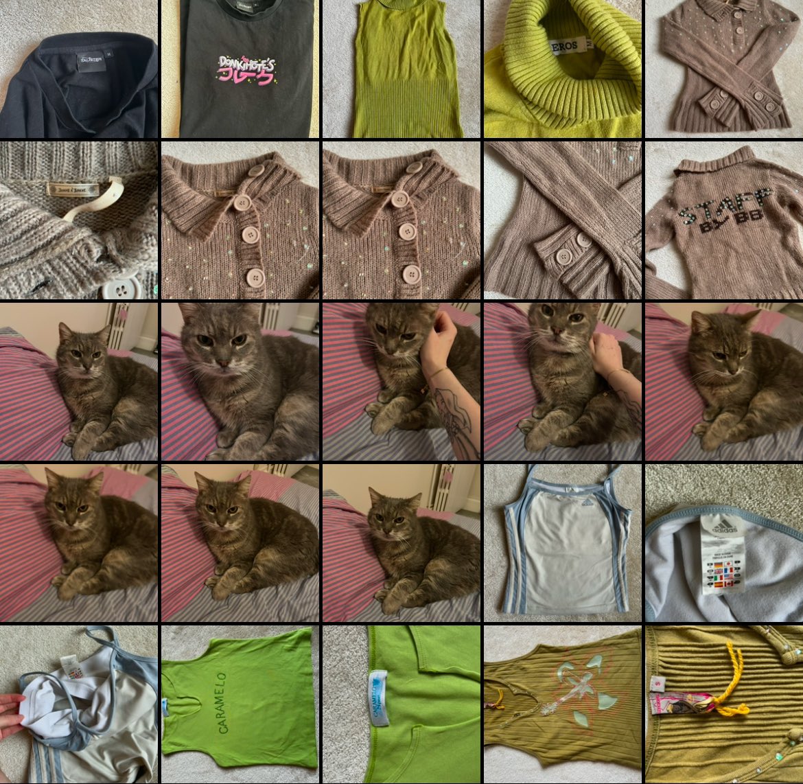 isaure ཐི༏ཋྀ󠀮 tweet media