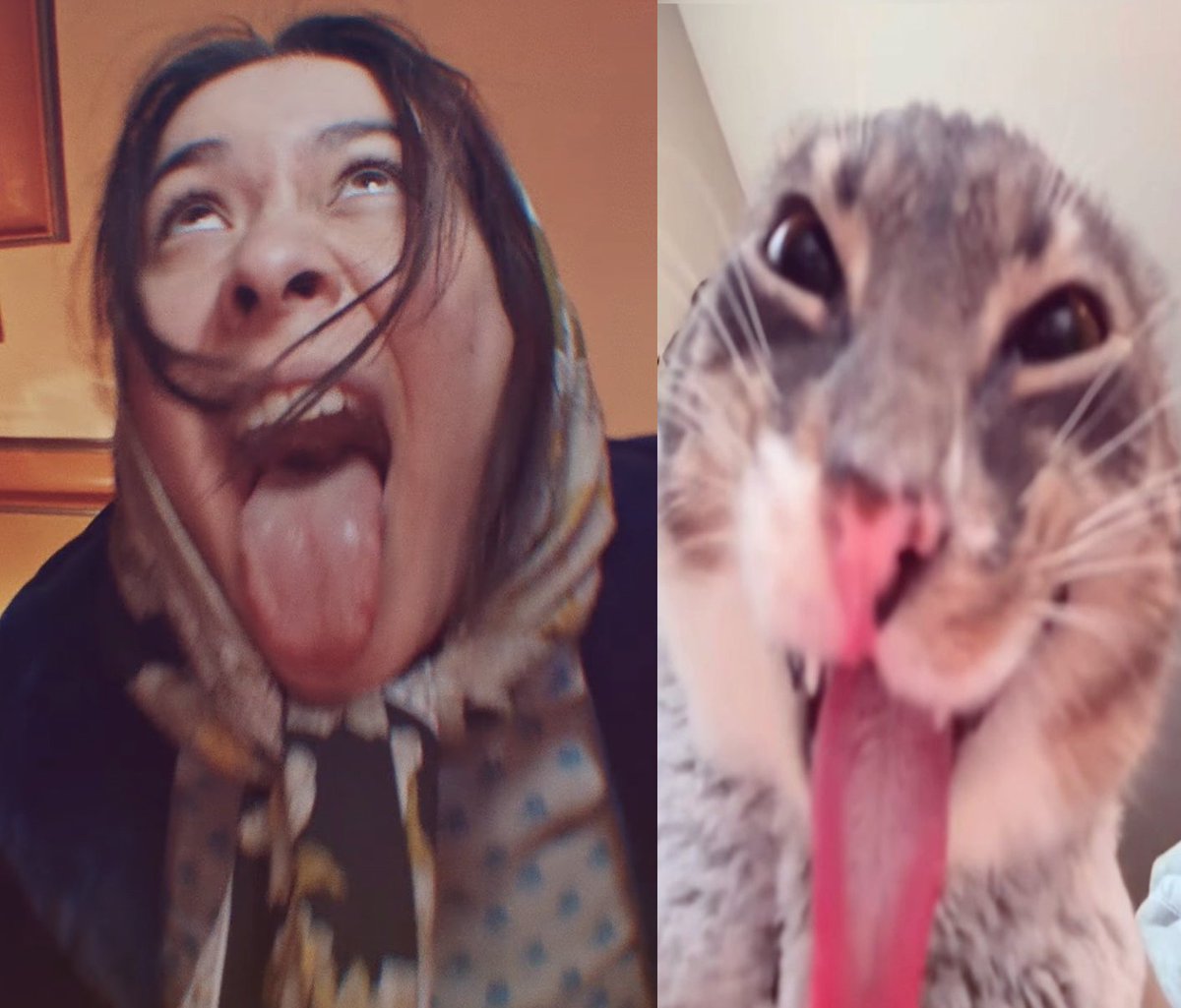 randomitskis's tweet image. 