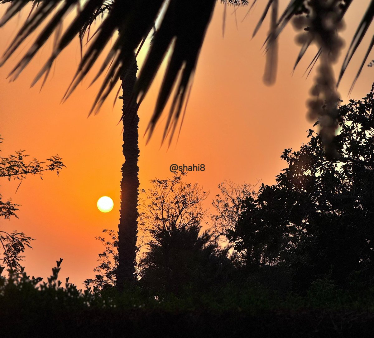 alshahi8's tweet image. اللهم في مساء يوم الجمعة :
نسألك رحمتك التي وسعت كل شيء، أن تغفر لنا ذنوبنا وتستر عيوبنا وترزقنا خير هذا اليوم. اللهم اجعل لنا من كل همٍ فرجًا، ومن كل ضيقٍ مخرجًا، وارزقنا من حيث لا  نحتسب. اللهم نسألك العفو والعافية  والمعافاة  الدائمة  في الدنيا  والآخرة