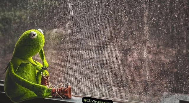 When the exam is so hard that you start looking out the window and admiring nature.