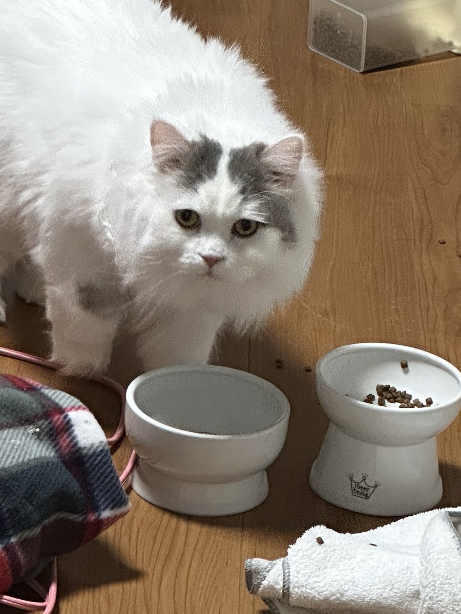 <a href="/meu_ruru/">めうル</a> え…水、ですけど…？