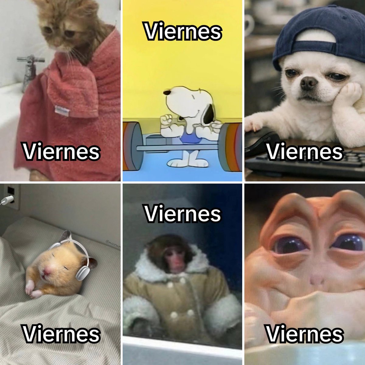 Guarromantico_'s tweet image. Viernes.
