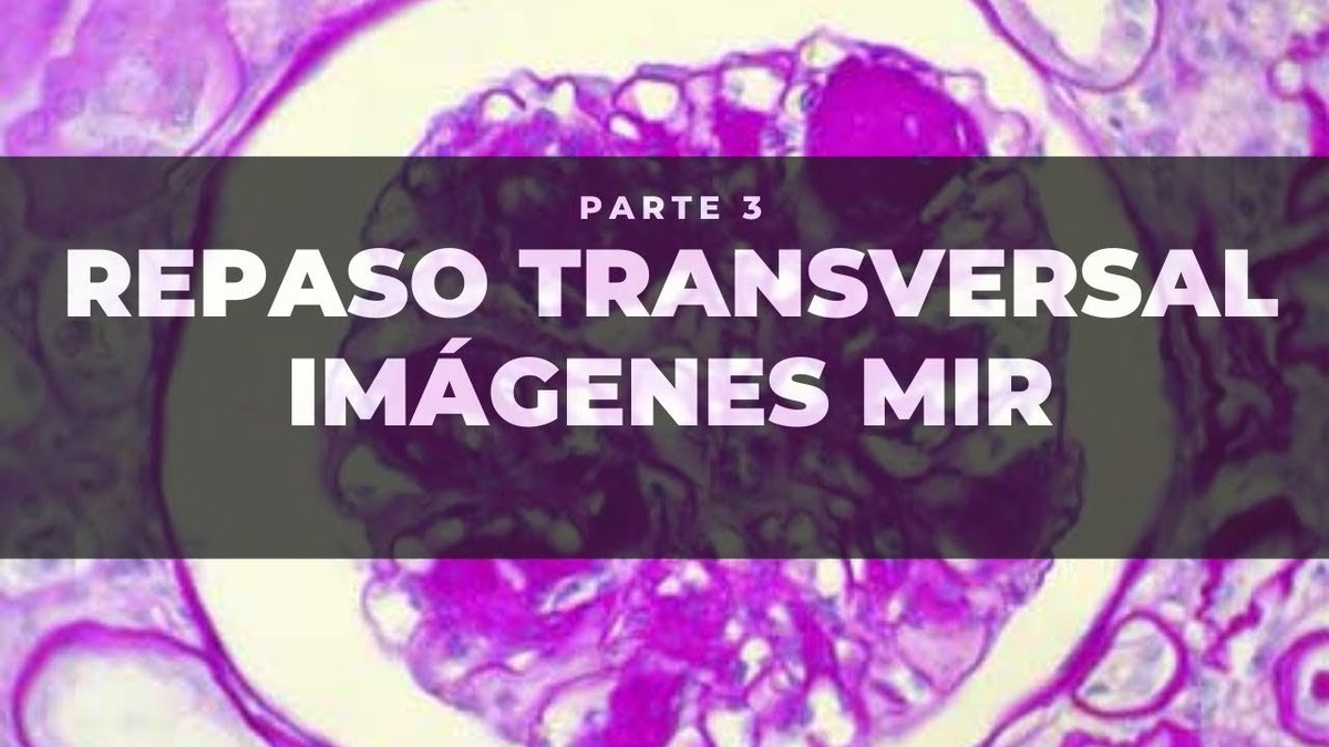 RaviMedTest #2MIR27 #2MIR28 tweet media