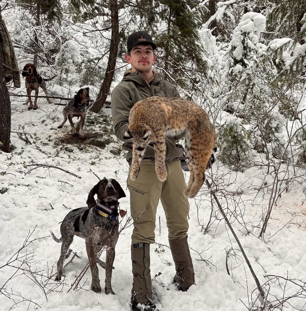 XposeTrophyHunt's tweet image. Kaleb Frank, Diversified Solutions, Montana is having 'another fun day in the mountains.' It sure wasn't fun for the bobcat. He is dead. 🤬
#BanTrophyHunting RT
@SARA2001NOOR @Angelux1111 @Gail7175 @Protect_Wldlife @Lin11W @PhaedraXTeddy