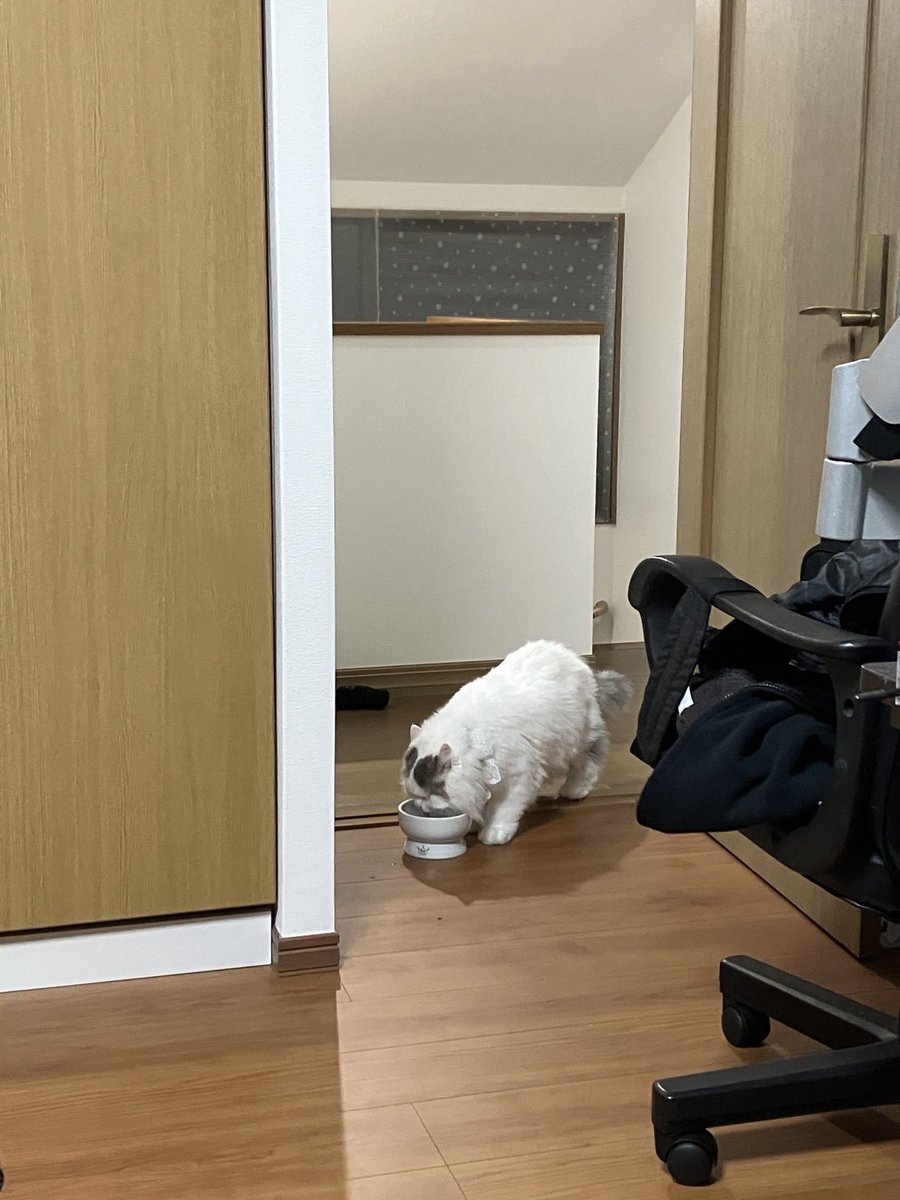 <a href="/meu_ruru/">めうル</a>