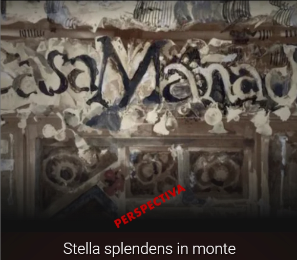 Perspectiva tweet media