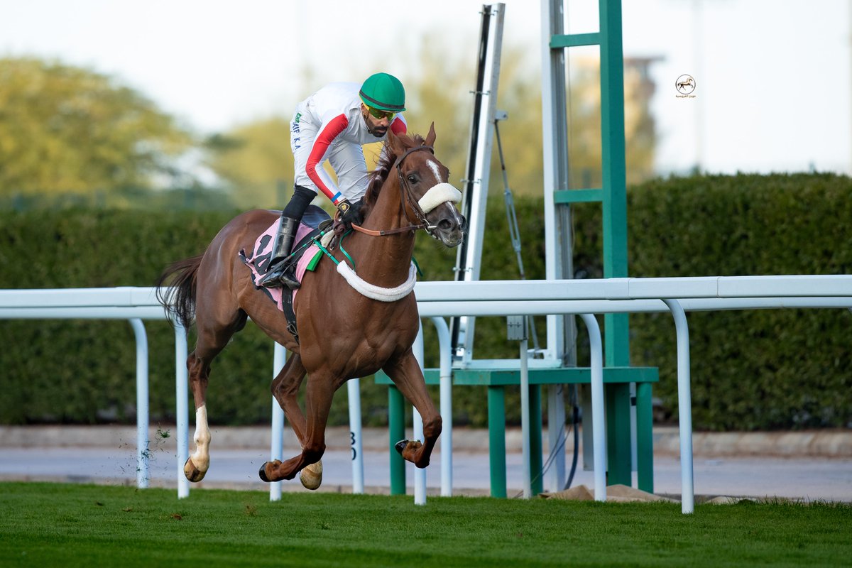 MujazALfrusia's tweet image. الحفل ( 61 )
نتيجة الشوط ( 2 )
مؤهل كأس البحر الأحمر مقدم من بادن جالوب و BBAG 🤩🏆

• الفائز : صياح
• الاب : Karakontie
• الام : JUST A LOOK
• المالك : ابناء الملك عبدالله بن عبدالعزيز
• تدريب : هشام عبدالواحد
• قيادة الخيال : نايف العنزي
• مسافة الشوط : 3000م
• الزمن :…