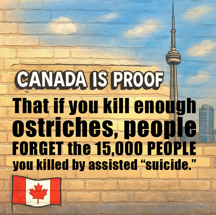 KevinMeredith's tweet photo. @LHubich Not to worry. Saskatchewan will be the 51st state soon enough.

Then YOU will have to listen to hucksters and deadbeats the world over whine that America doesn't give them enough freebies.

Till then, keep killing those ostriches. https://t.co/LBvoIu4GDN