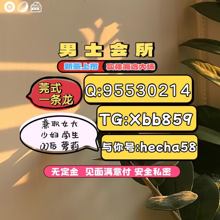JackelineRN585M's tweet photo. 青岛会所◼▶ https://t.co/o5EWQiUKqA