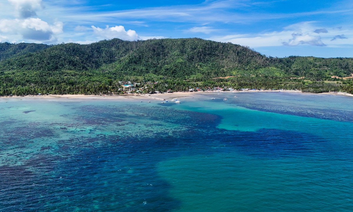 Amihan Kite Windsurf Cafe tweet media
