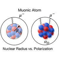 Physical Review C tweet media