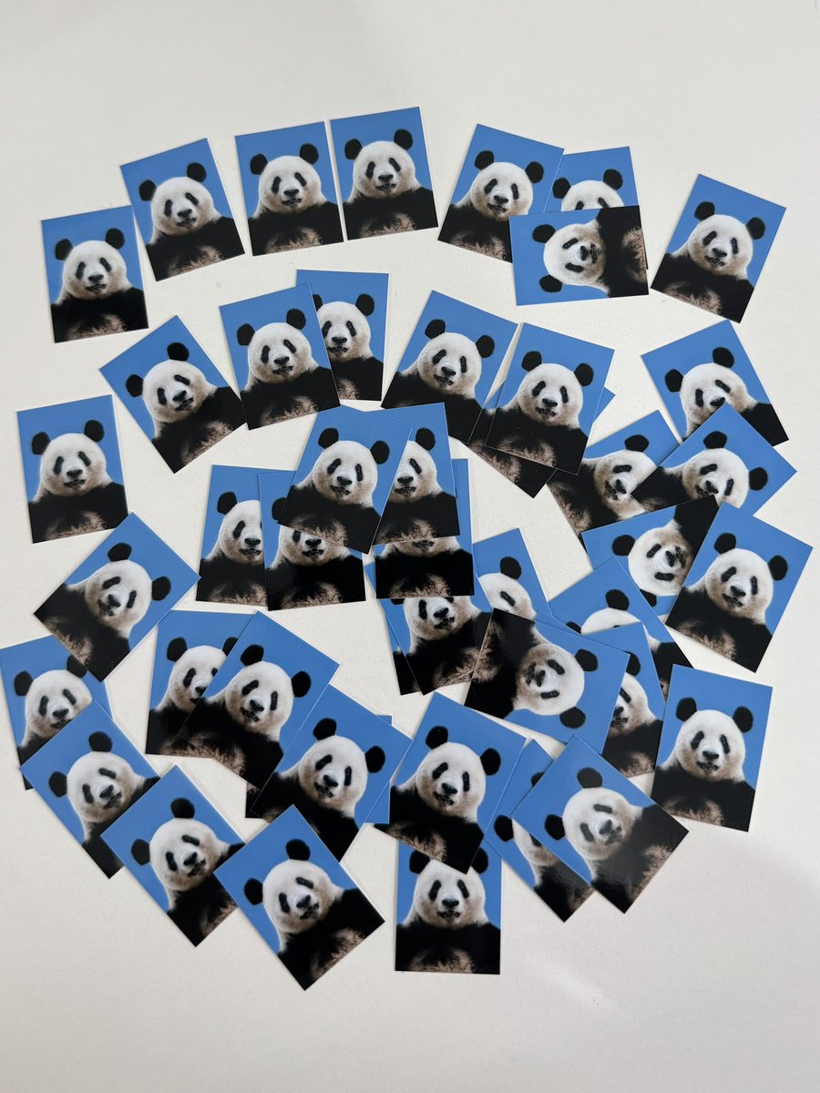 パンダになりたい(LOVE612香香) (@pandaninaritai7) / Posts / X