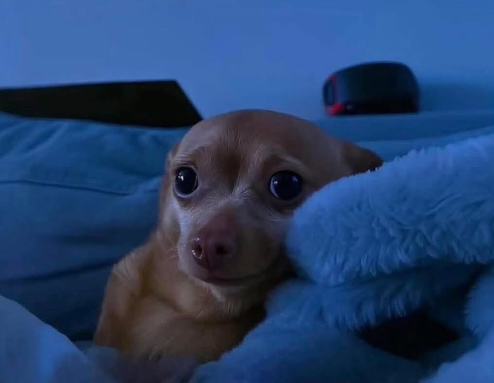 When you fall asleep on the sofa and wake up in bed, but you live alone😭…..