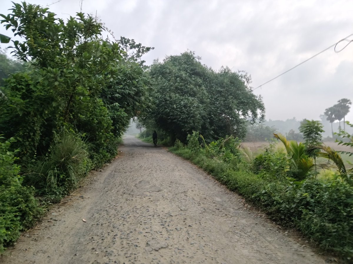 LORD 💫 tweet media