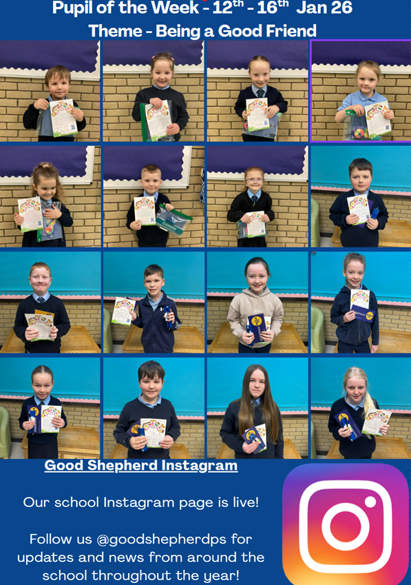 Good Shepherd Primary School tweet media
