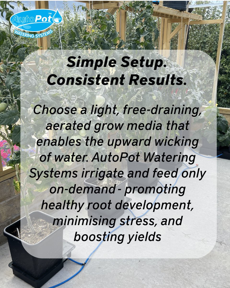 AutoPotUK's tweet photo. 🌱 Start your season strong!
✔️ Space plants for airflow
✔️ Prep your system
✔️ Use a light, free-draining medium
AutoPot delivers on-demand watering for healthier roots and better yields.
#AutoPot #GrowTips #GrowYourOwn #SmartGrowing 🌱 https://t.co/ibvAPKV4jc