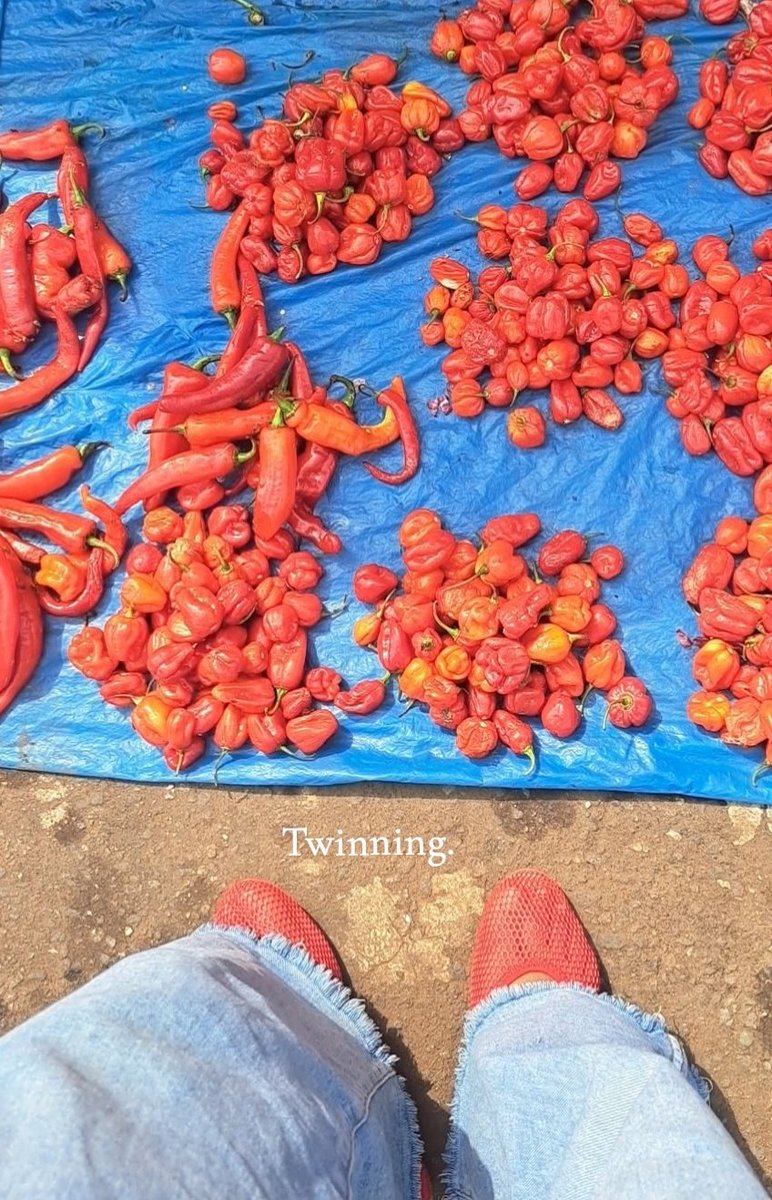 aishaabdi___'s tweet image. #twinning