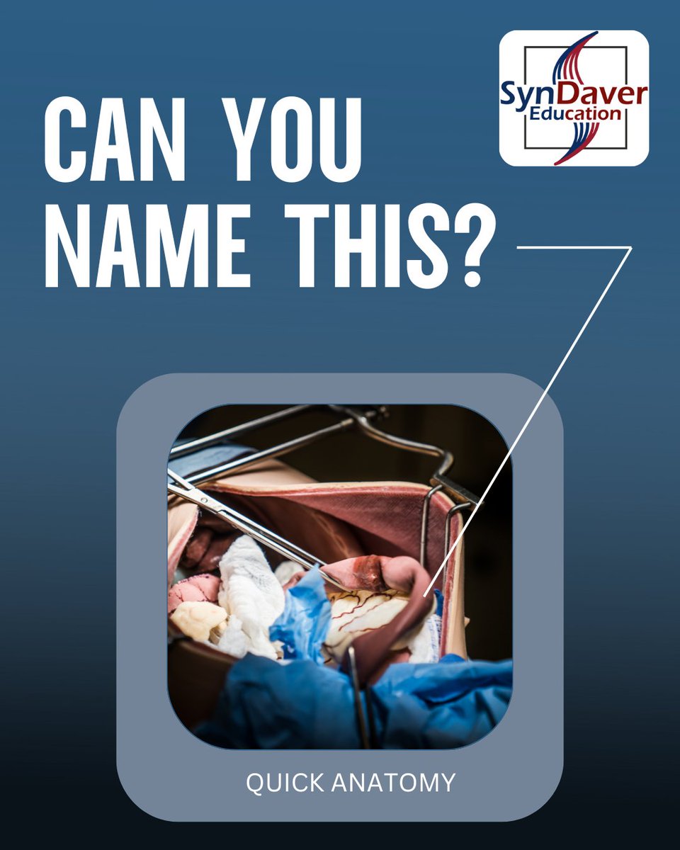 SynDaver Labs tweet media