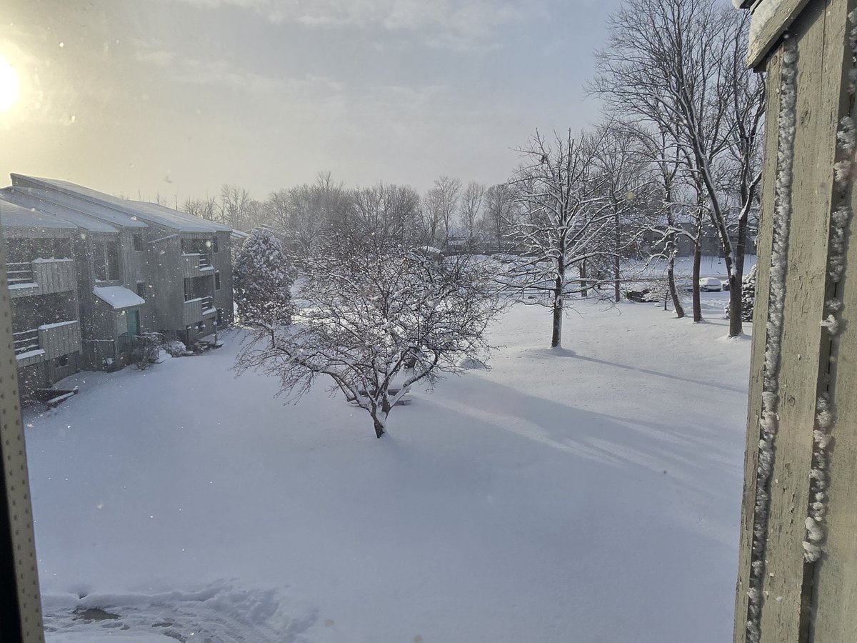 Winters morning...