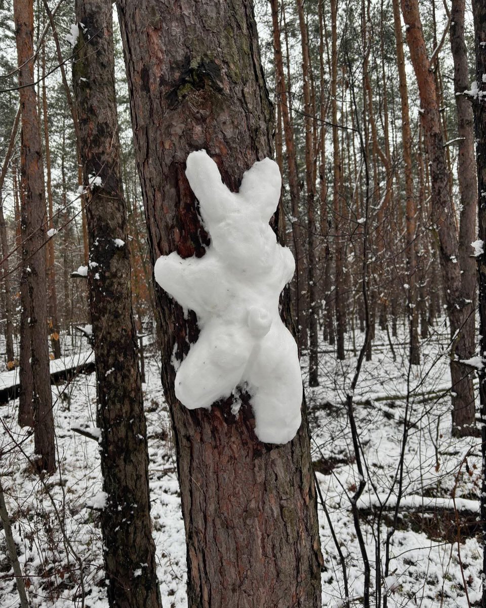 barteqw90's tweet photo. #las #forest #snow #snowsculptures #art #nature #NaturePhotography https://t.co/4RJJBgvvvY