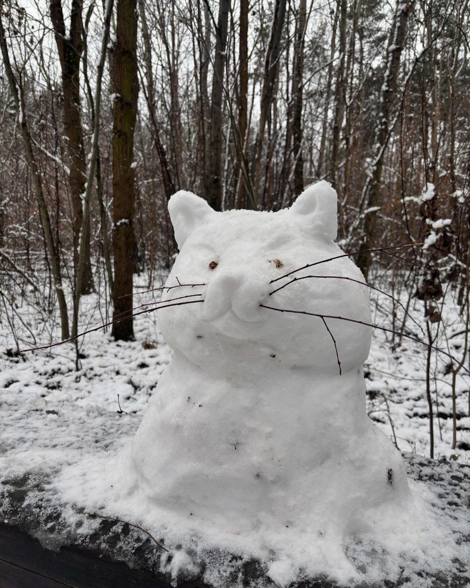 barteqw90's tweet photo. #las #forest #snow #snowsculptures #art #nature #NaturePhotography https://t.co/4RJJBgvvvY