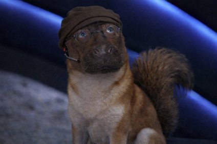 ok rape them for an entire year after a tight cabal of people printed obscene money onchain from trump and LLM slop bot meta 

ok now send BTC and get people dreaming of an onchain szn again
now give them some relief on their memes in the first week of 2026

ok now ram an