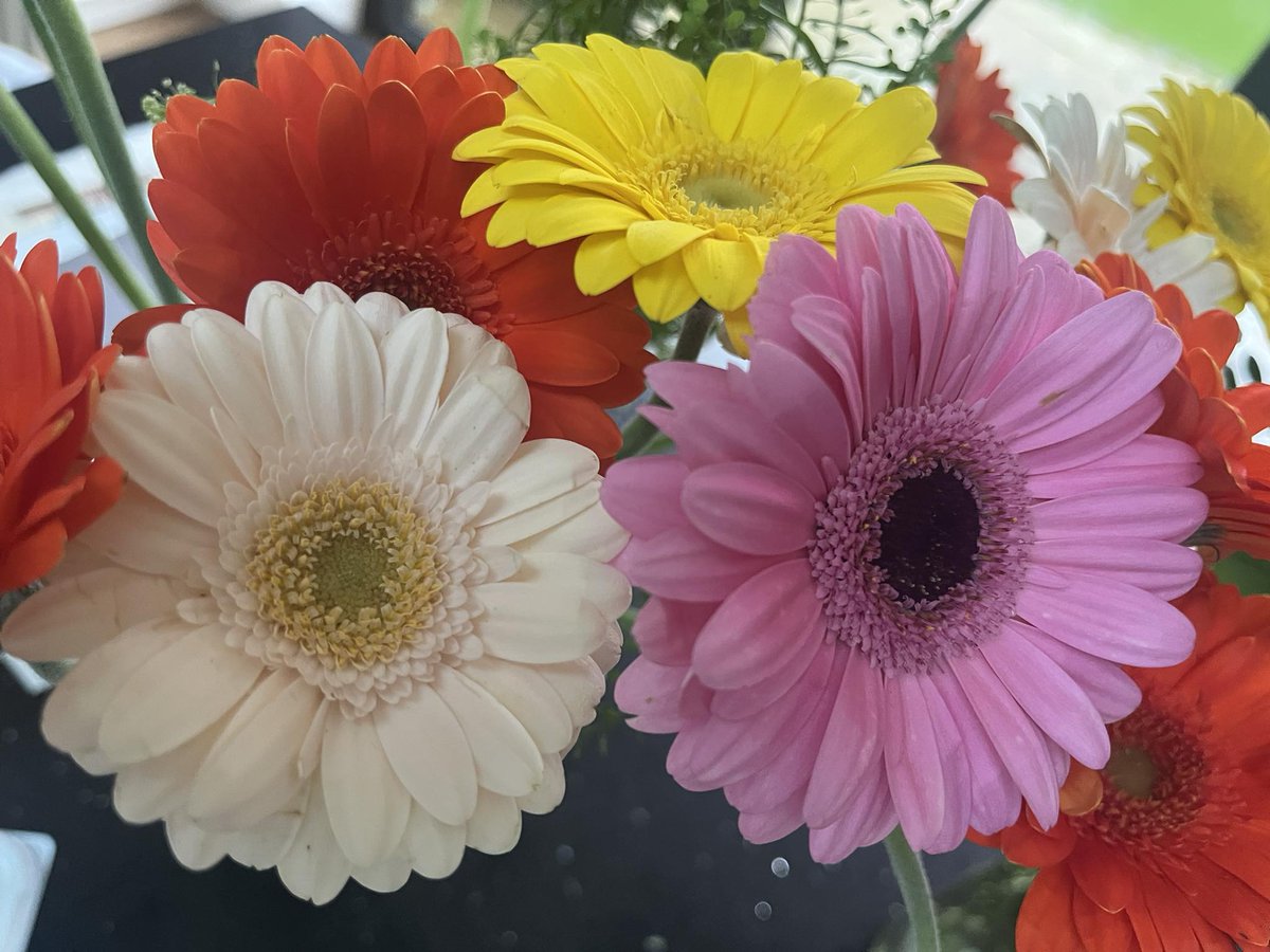 Visiting Angels North Surrey tweet media