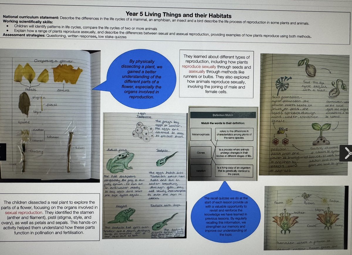 The Inspire Partnership tweet media