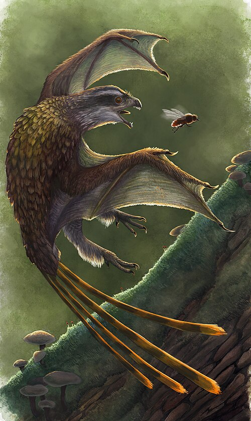 shout out to my favourite dragon Yi qi from the fossil record