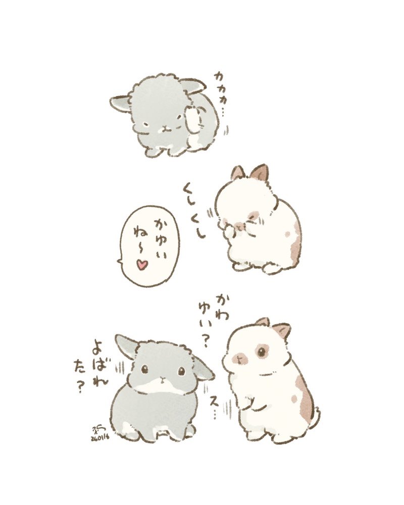 🐰うさぎさんが正しい