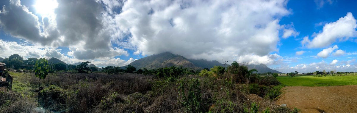 juancmud's tweet image. Manglares Churute❤️😍