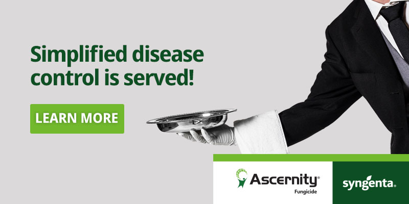 Simplified, diversified disease management is served… in a premix package. See how Ascernity® fungicide helps you tackle Anthracnose, dollar spot, Microdochium and more! greencast.ca/products/ascer…