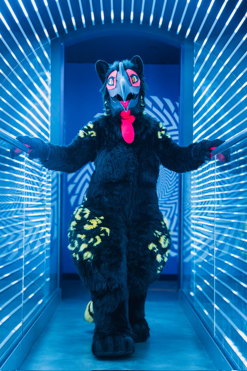 Rani ✨ tweet media