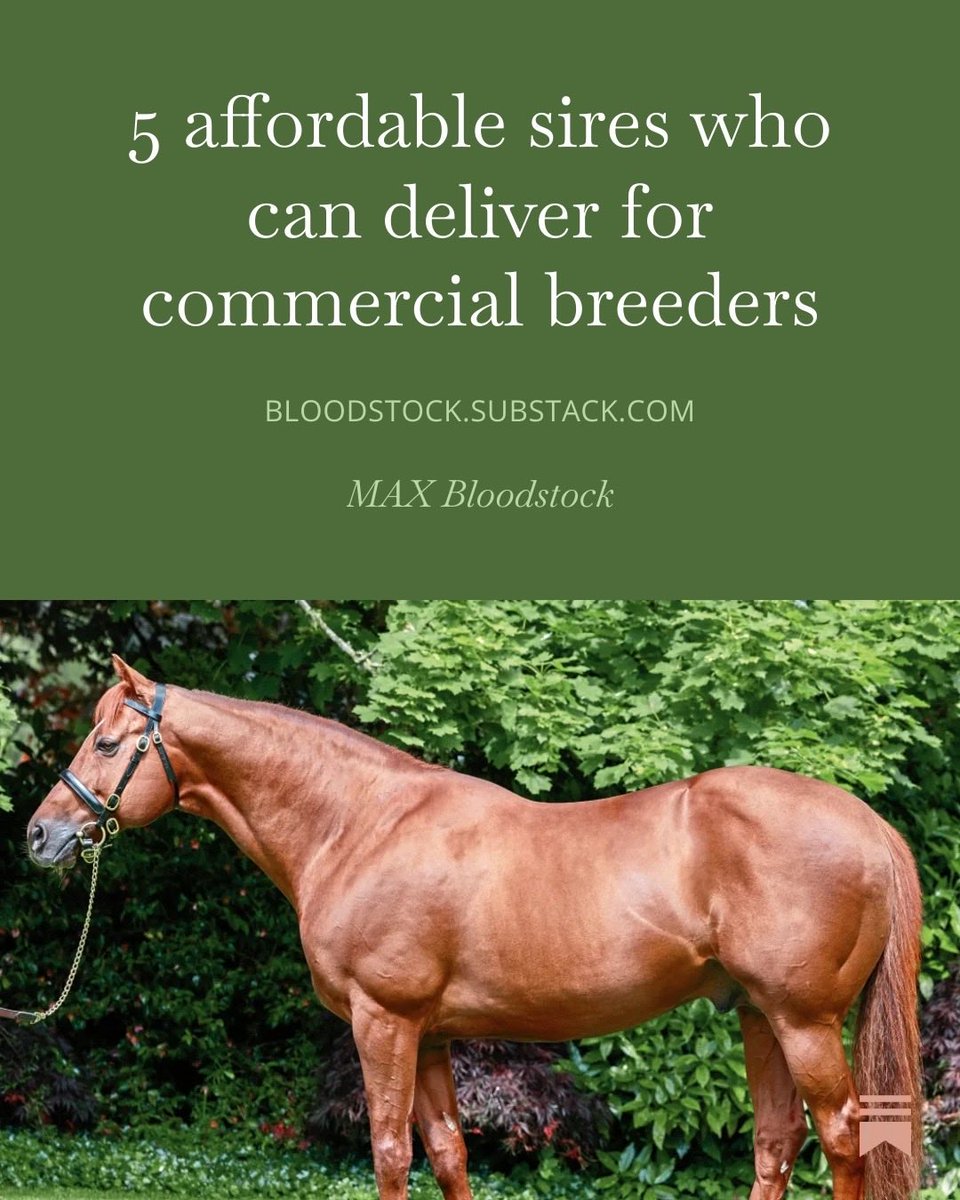 Simon Madden tweet media