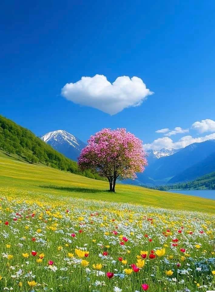 Good morning!☀️
Wishing you a day full of joy and happiness!🌺🌿🌾🪻🌻☕️