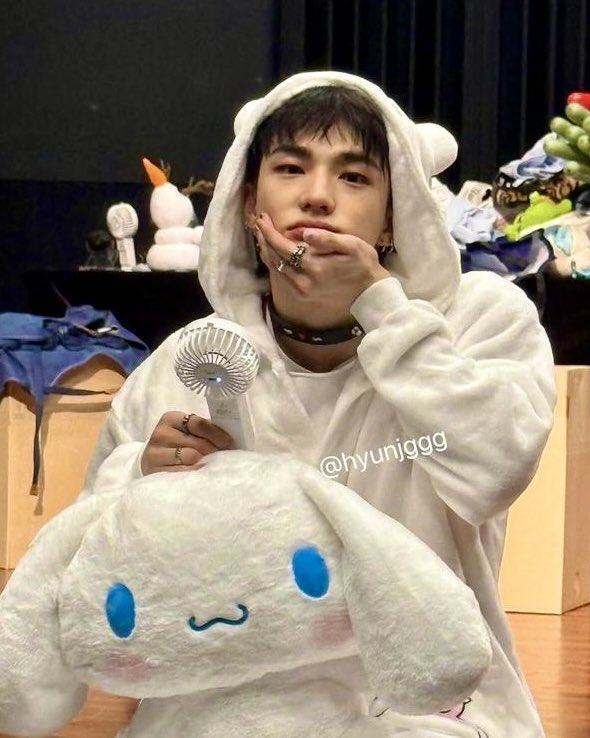 hwngzhuo's tweet image. my cinnamorolls :3