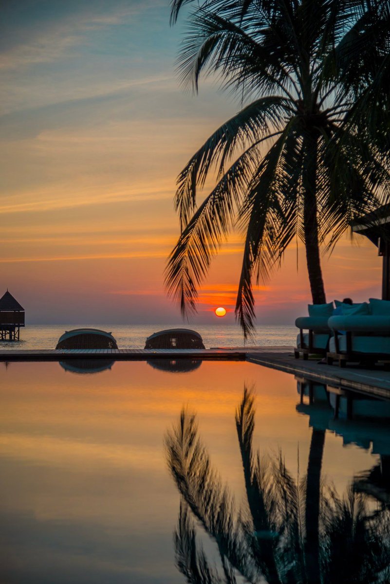 aestheticspost_'s tweet image. 