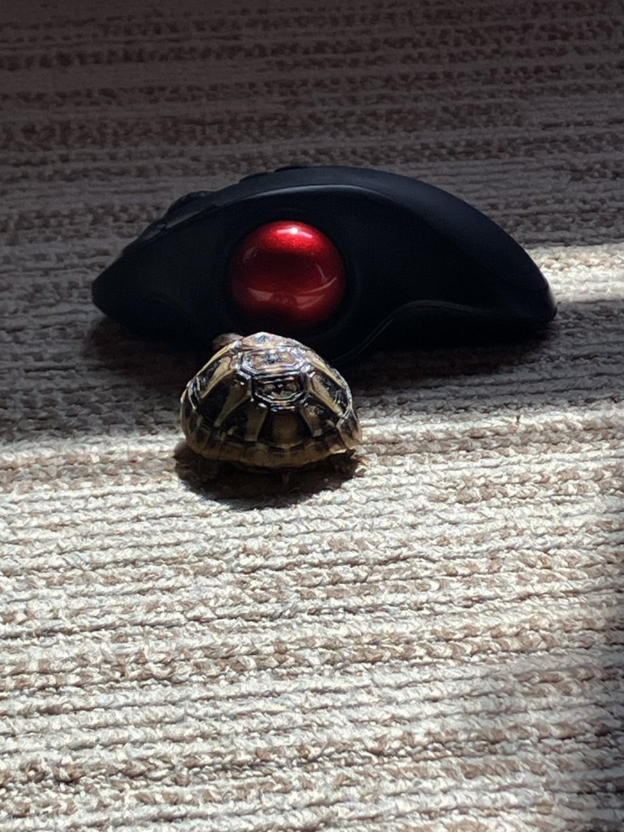 今こんなに大きくなったんだねぇ 