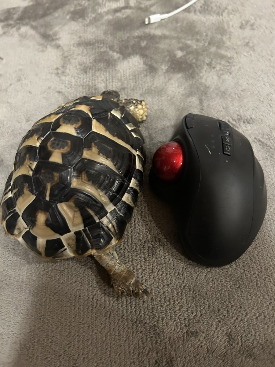 今こんなに大きくなったんだねぇ 