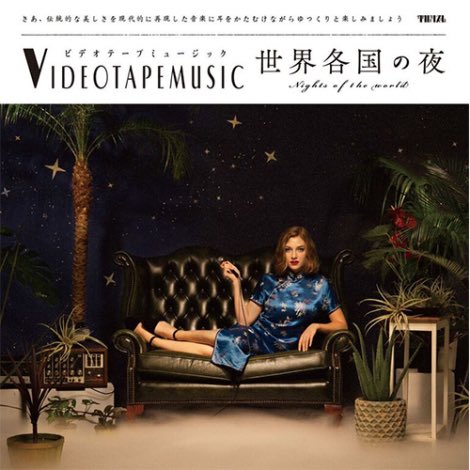 VIDEOTAPEMUSICの世界各国の夜のLPを探しています🎧
