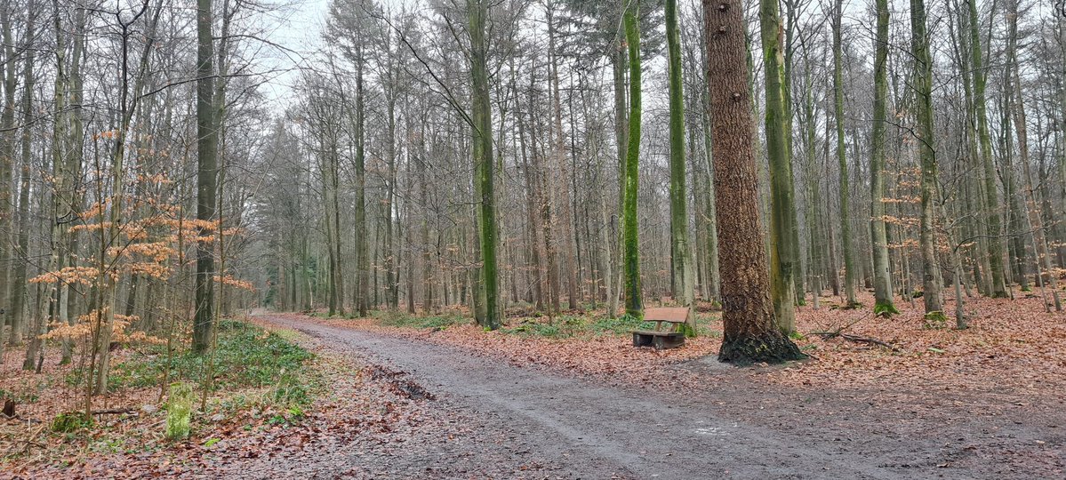 Besuchen&amp;Quatschen&amp;Rat holen.