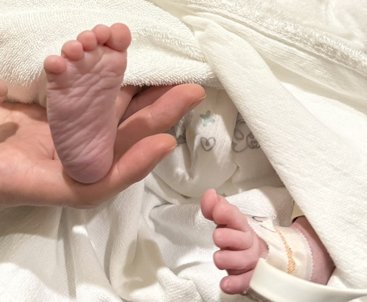 遠藤（マメ） tweet media