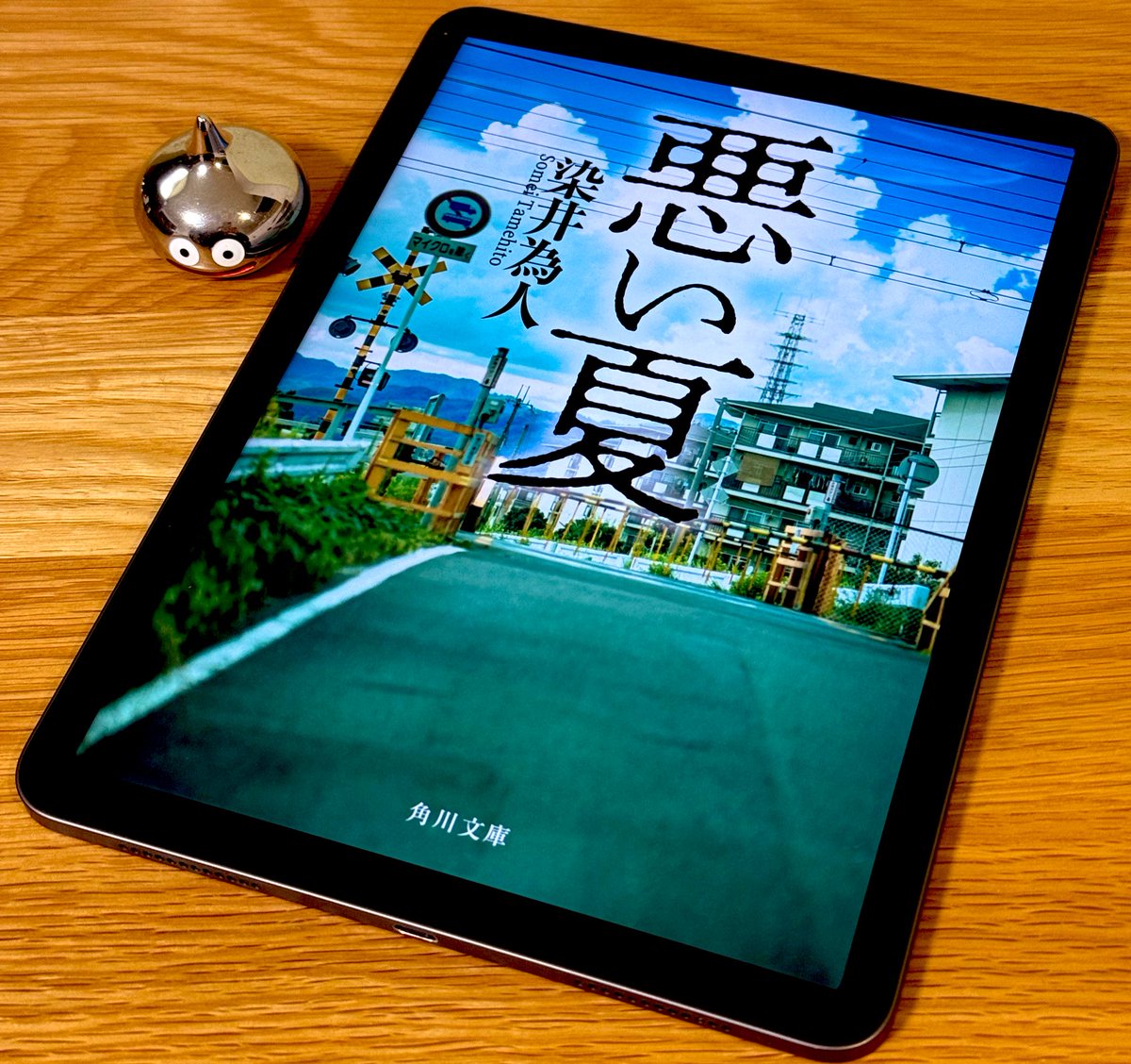 悪い夏』を読み終えた。 生活保護受給をめぐるノワールサスペンス。ケースワーカーを主人公とした救いようのない世界の救いようのない人物たち。  考えるのをやめたことにより、未来に希望を持てなくなる負の連鎖。 「結局、生きることにだらしないのだ」