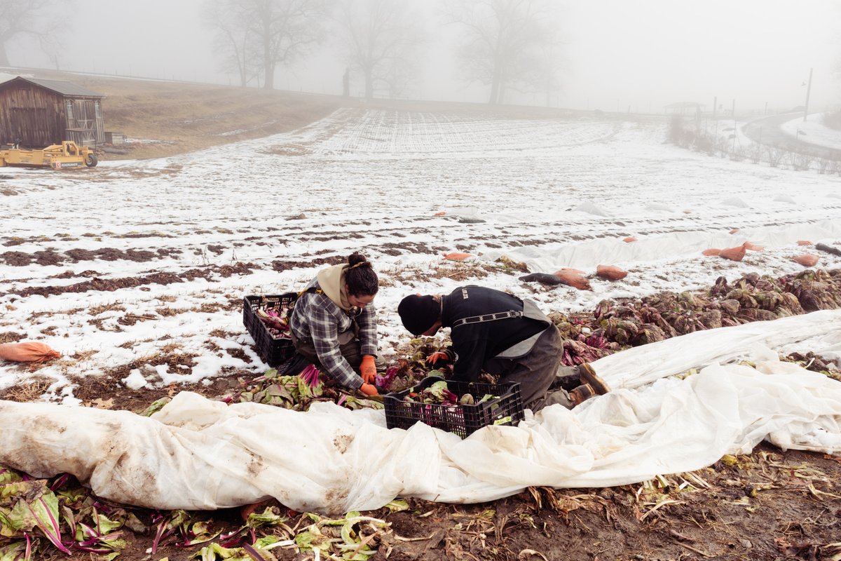 Dan Barber tweet media