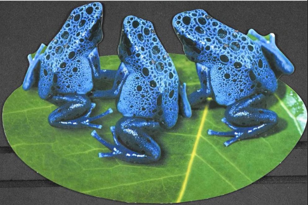 StateLibraryFL's tweet image. #DYK that the State Library collects Florida ephemera? Here’s a cool and vibrant postcard from the Miami Metro Zoo that’s been recently added to our catalog and Internet Archive in a digitization initiative for this collection: archive.org/details/miamim…  @zoomiami