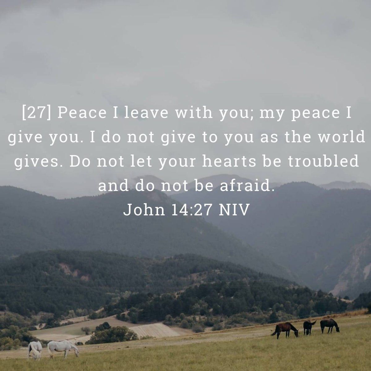 Rodfut's tweet image. John 14:27 NIV
[27] Peace I leave with you; my peace I give you. I do not give to you as the world gives. Do not let your hearts be troubled and do not be afraid.

bible.com/bible/111/jhn.…