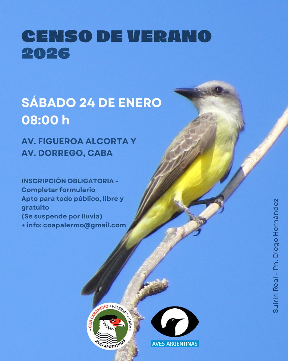 COA Carancho tweet media